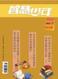 智慧少年